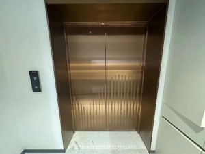 北京家里有老人选择别墅电梯注意哪些